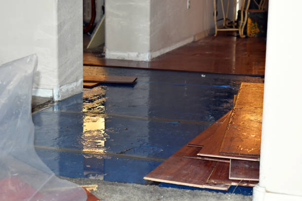 Professional Emergency Water Damage Restoration technician working in Lake Odessa, MI